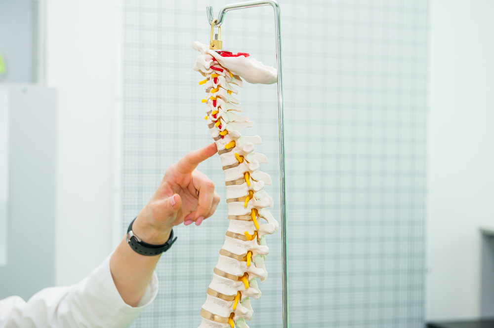 Difference between an osteopath and a chiropractic illustrated by man pointing to spine